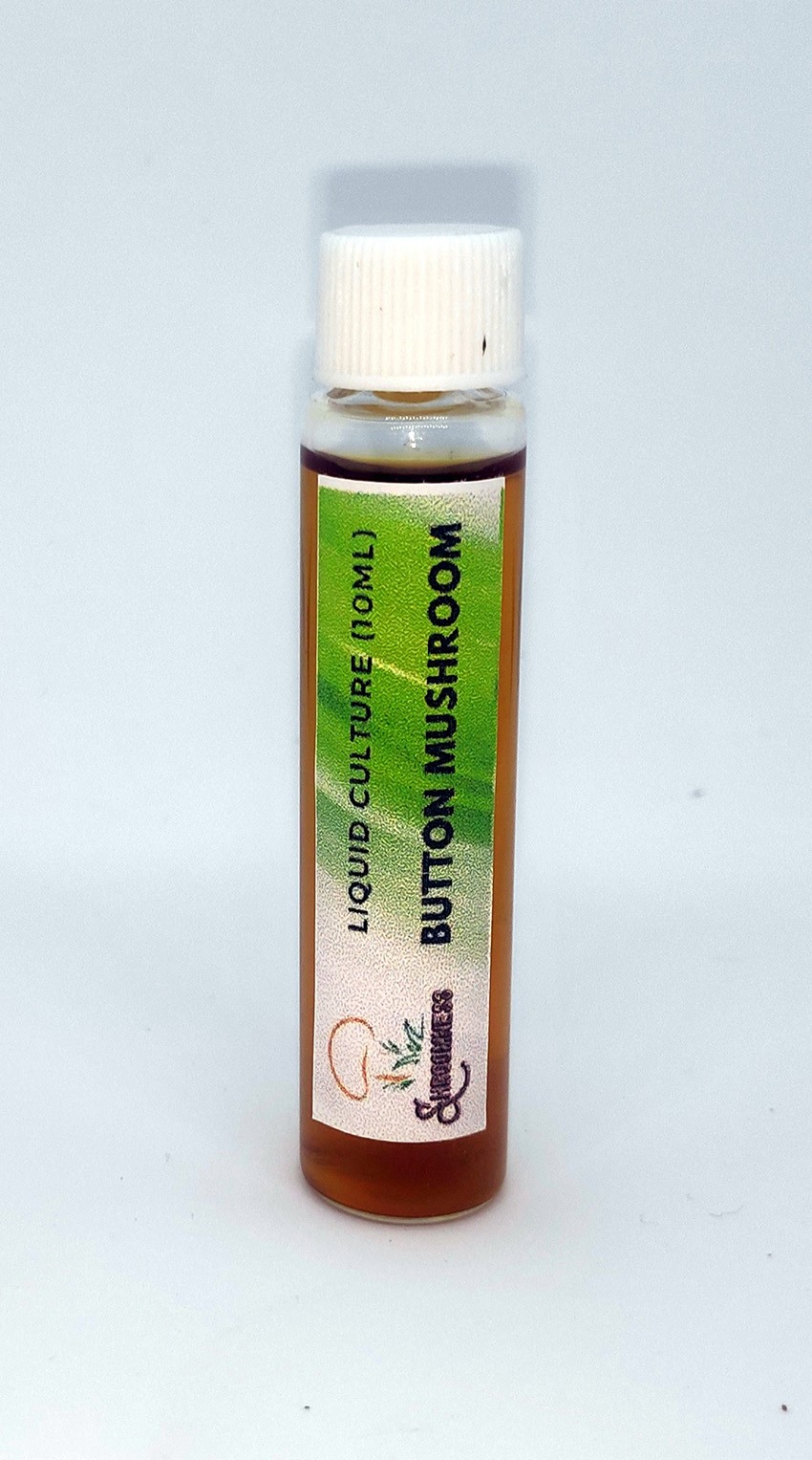 shroomness white button mushroom liquid culture - 10ml