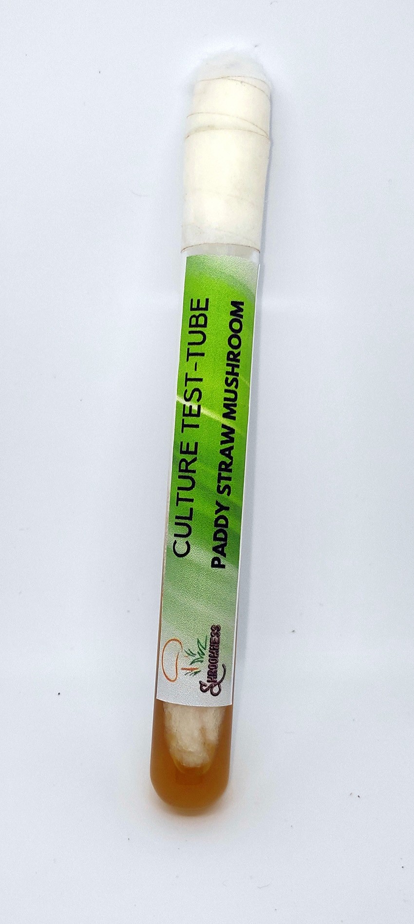 shroomness paddy straw mushroom culture in test-tube