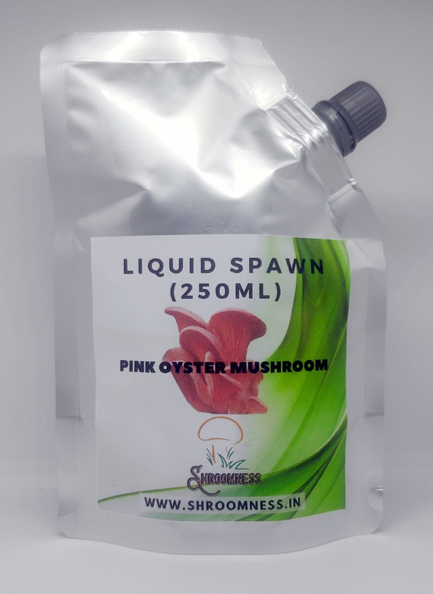 shroomness pink oyster mushroom spawn liquid spawn - 250ml