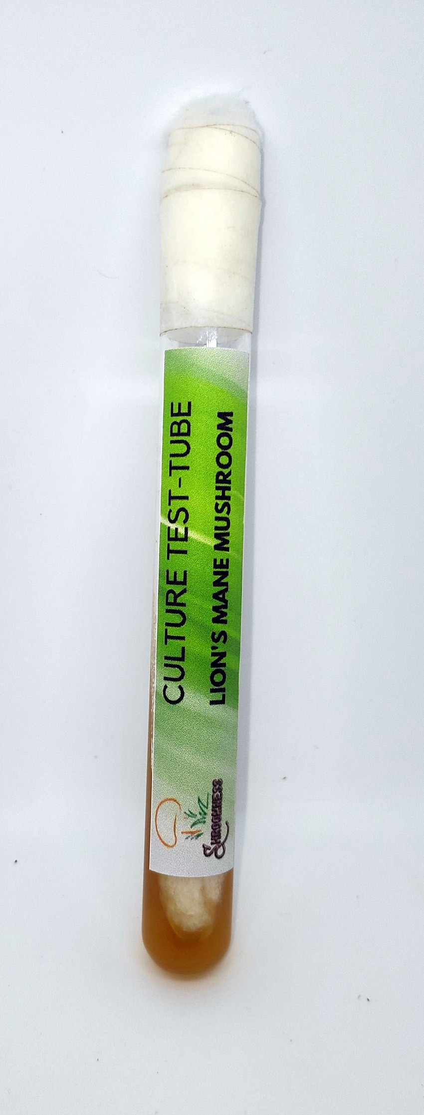 shroomness lion's mane mushroom culture in test-tube