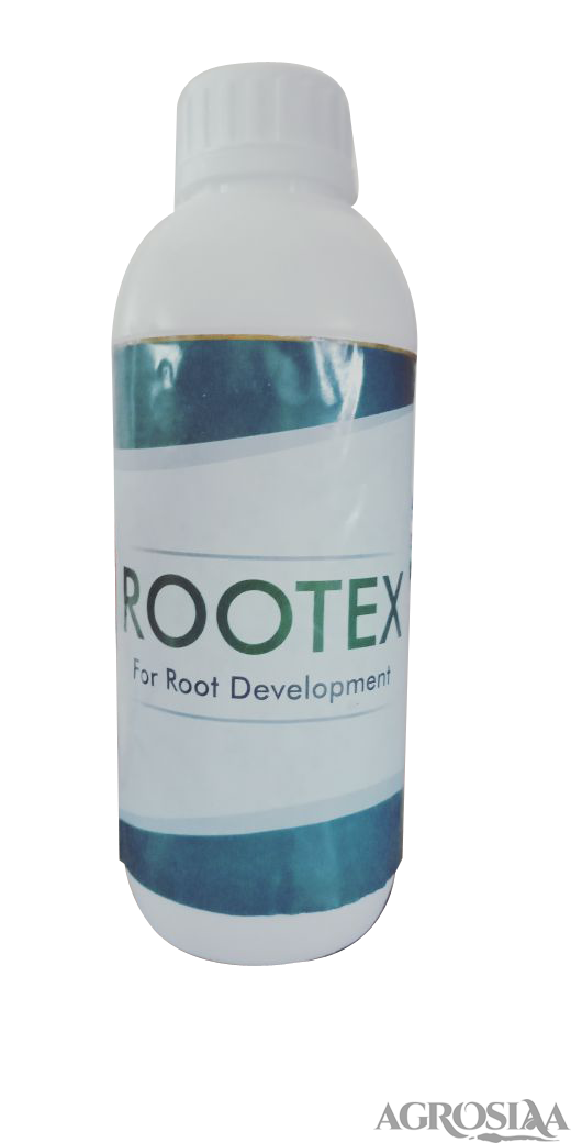 rootex - 500ml
