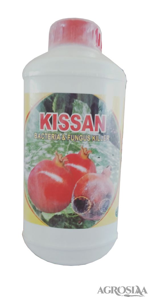 kissan - 500ml