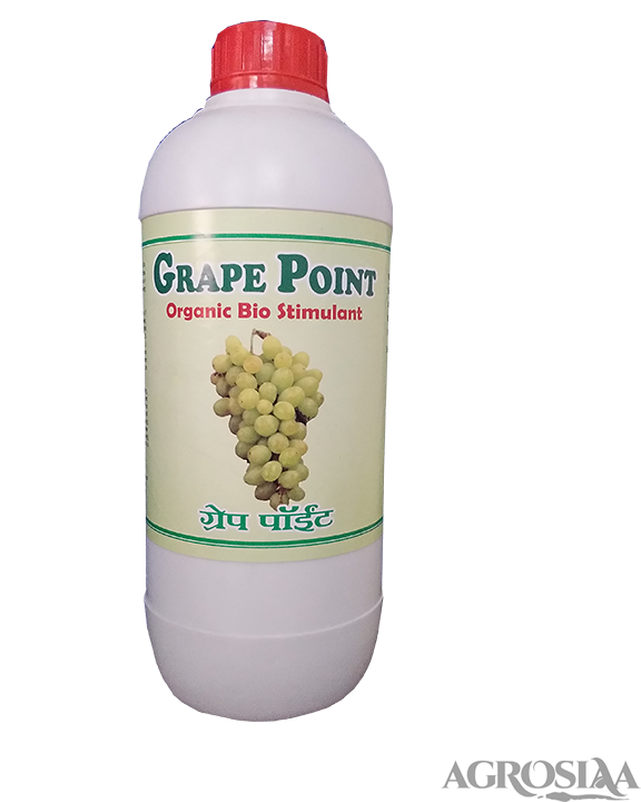 grape point - 500ml