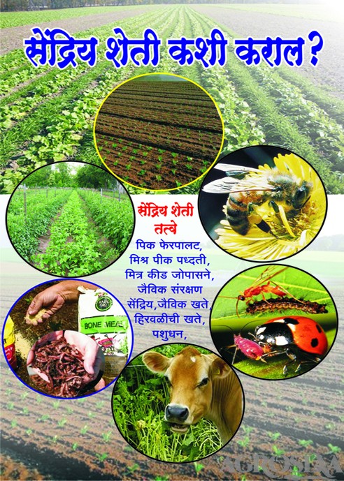 shendiry sheti kashi karal