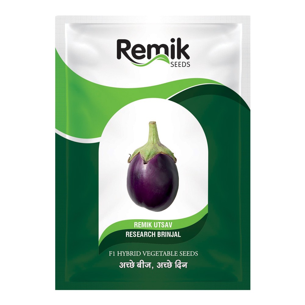 remik utsav research brinjal seeds - 2 gm Remik Utsav