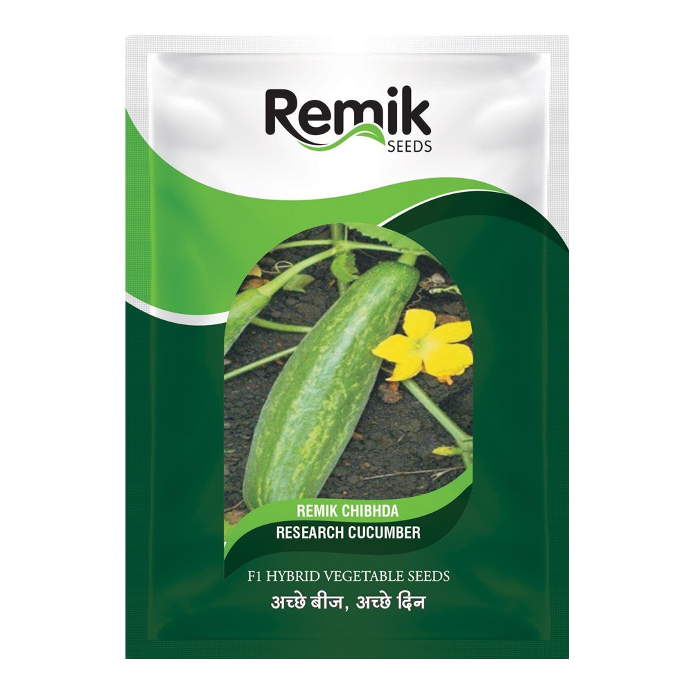 remik chibhda hybrid cucumber seeds - 50 gm