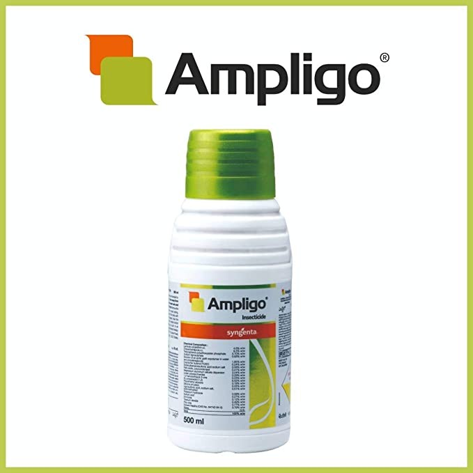 syngenta ampligo insecticide - 200 ml | chloratranilprole (10 %)+ lambdacyhalothrin (5%) zc