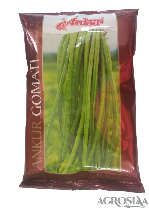 Ankur Gomati Cow Pea Seed - 100 Gm