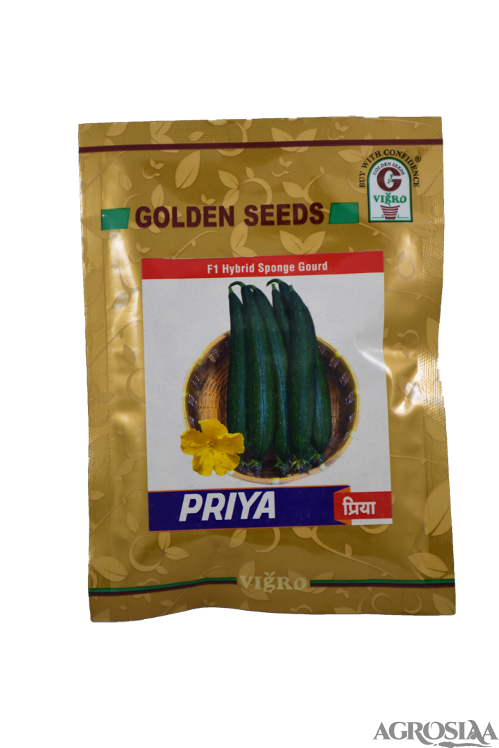golden priya f1 hybrid sponge gourd seed - 50 gm