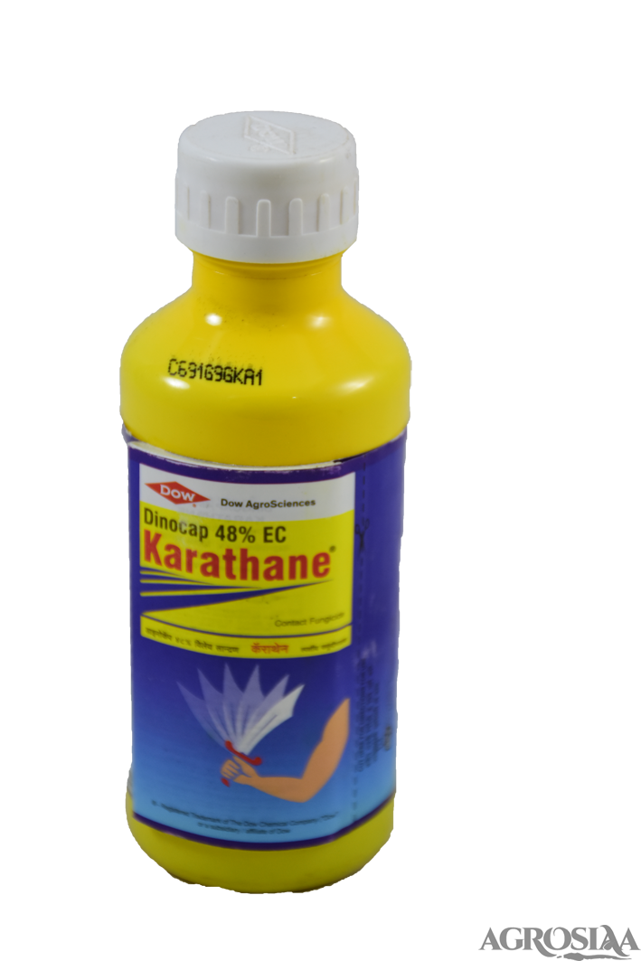 dow karathane fungicide - 100 ml | dinocap 48% ec