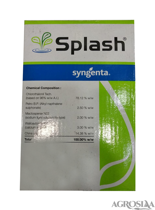 syngenta splash fungicide - 250 gm | chlorothalonil 75% wp