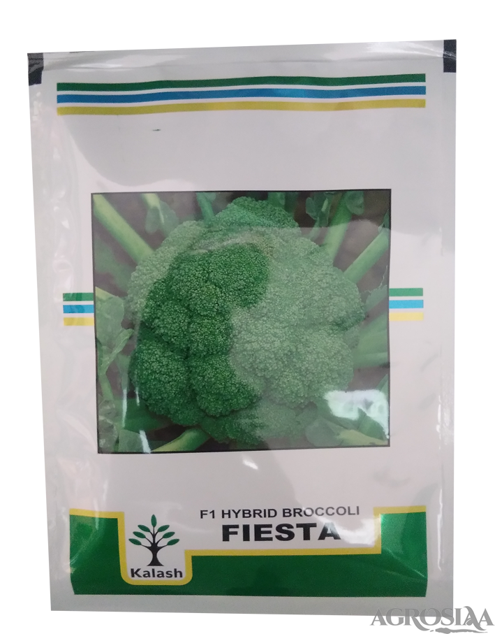 kalash fiesta f1 hybrid broccoli seed - 10 gm
