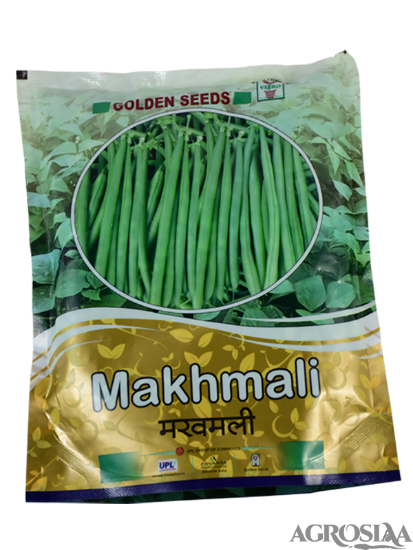 Golden Makhmali Bean Seed - 500 Gm