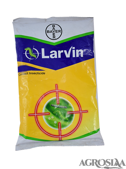 bayer larvin contact insecticide - 500 gm | thiodicarb 75% wp