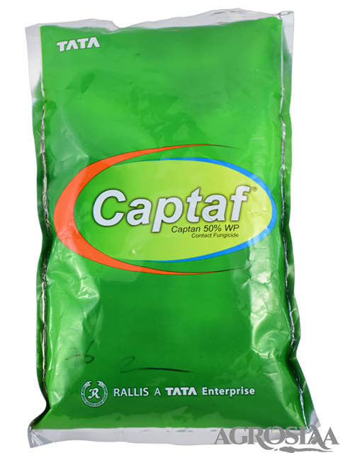rallis captaf contact fungicide - 5 kg | captan 50% wp
