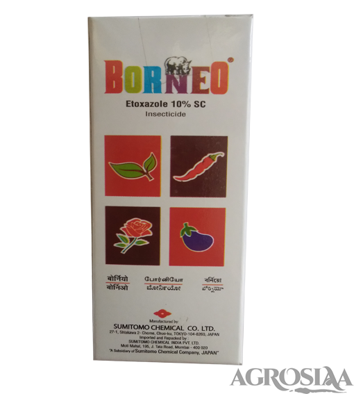 sumitomo borneo insecticide - 250 ml