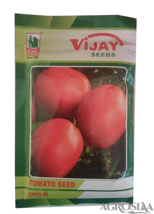 vijay s-22 tomato seed - 50 gm