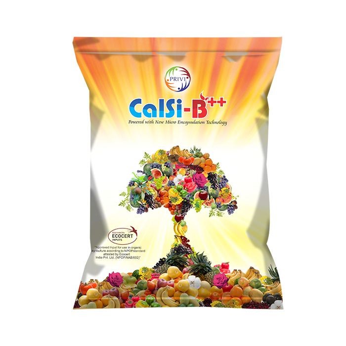 Calsi - B