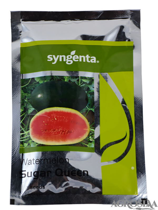syngenta sugar queen f1 hybrid watermelon seed - 1000 seeds
