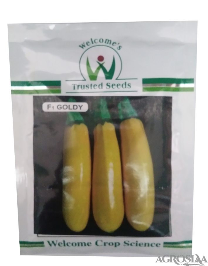 welcome goldy f1 winter squash zucchine seed - 25 gm