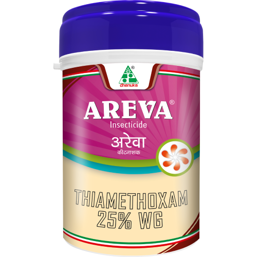 dhanuka areva broad spectrum insecticide - 5 kg | thiamethoxam 25% wg