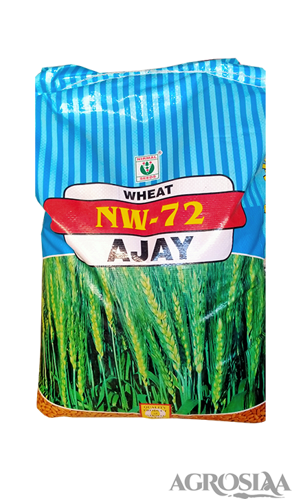 nirmal nw-72 ajay wheat seeds - 20 kg