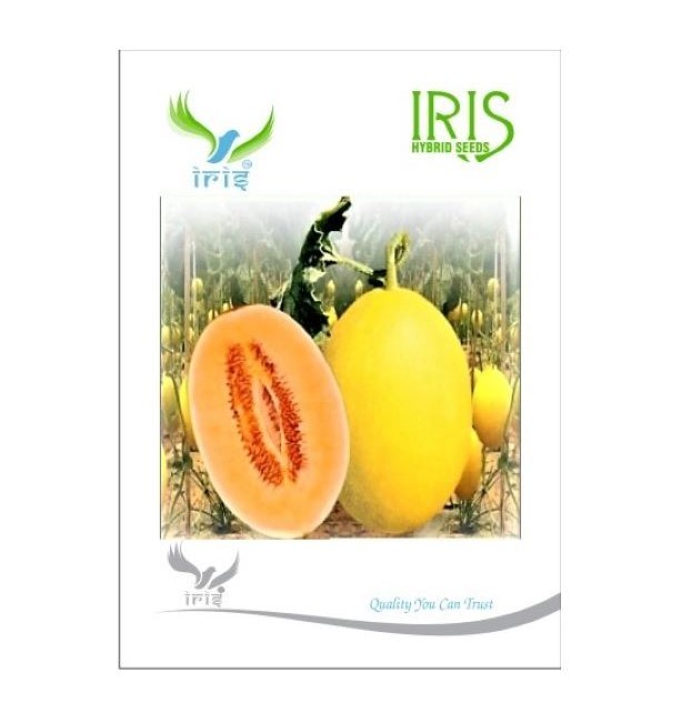 /uploads/userdata/seller/9256b9b3802d348b16c9d9d6bec6c02d5ad14ab4/product_images/53536154800cc0351c32aa8183dfcd33250b0415d616f077c1.jpg