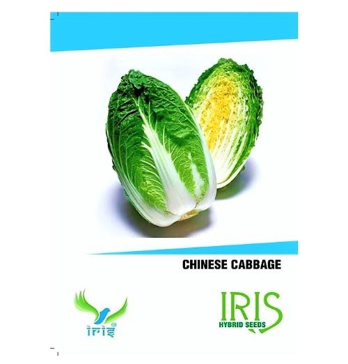 iris hybrid vegetable seeds chinese cabbage (20 seeds)