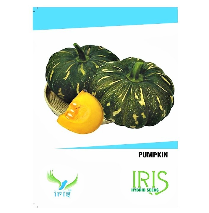 /uploads/userdata/seller/9256b9b3802d348b16c9d9d6bec6c02d5ad14ab4/product_images/9863921647fa9e9c31fa34f8b6527a7ed0fb5a2846069f2492.jpg