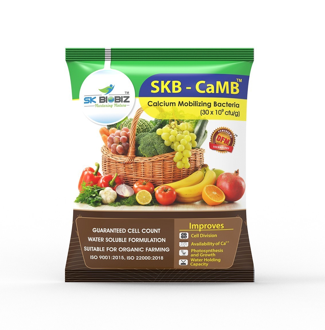 SKB - CaMb