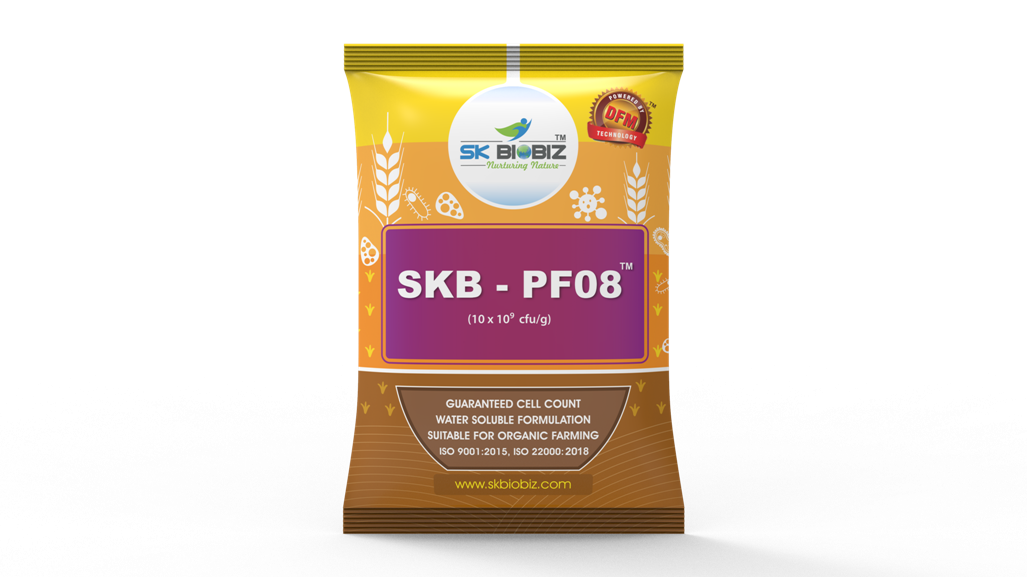 /uploads/userdata/seller/9416a5e55f2ee2b4c490685e7ee9691fb15a4fd7/product_images/7454954866432cfb1cc27bdd2787c6db47189e55111b120884.png