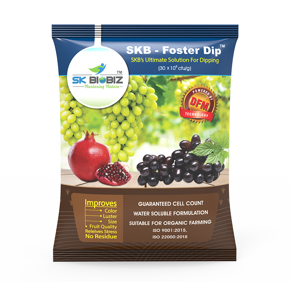 skb foster dip plant growth promoter - 100 gm x 5 foster dip