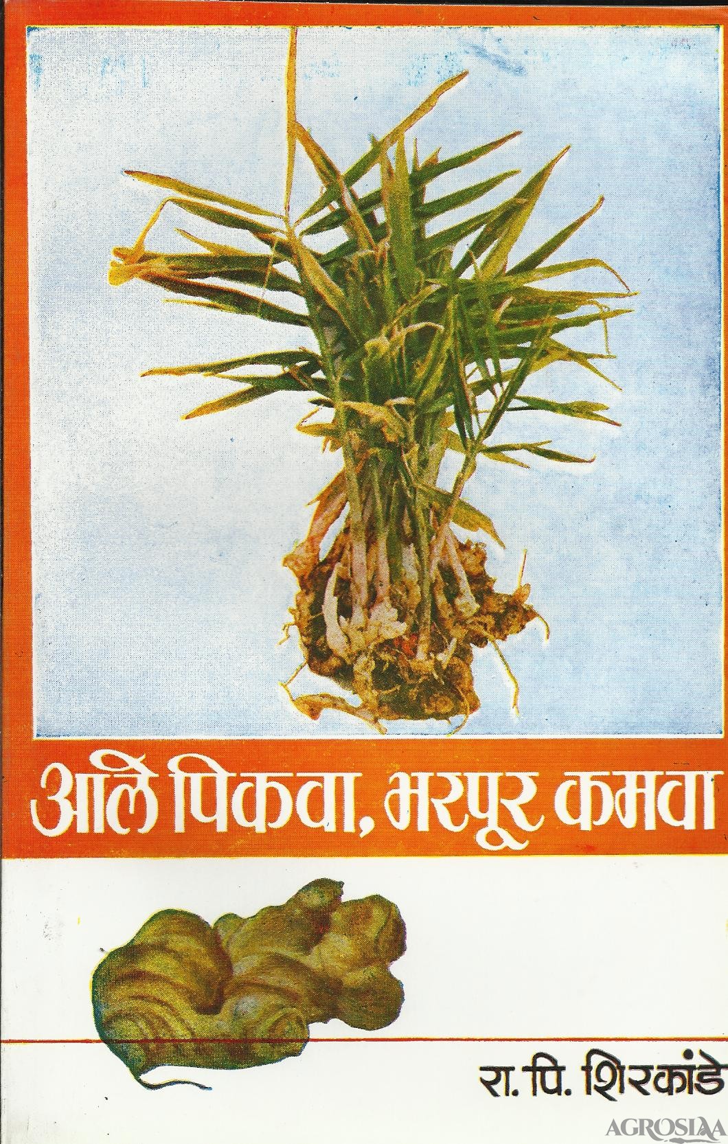 aale pikava, bharapur kamava