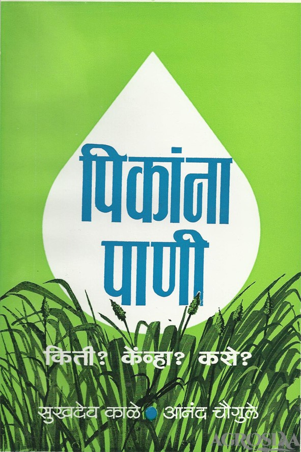 pikana pani