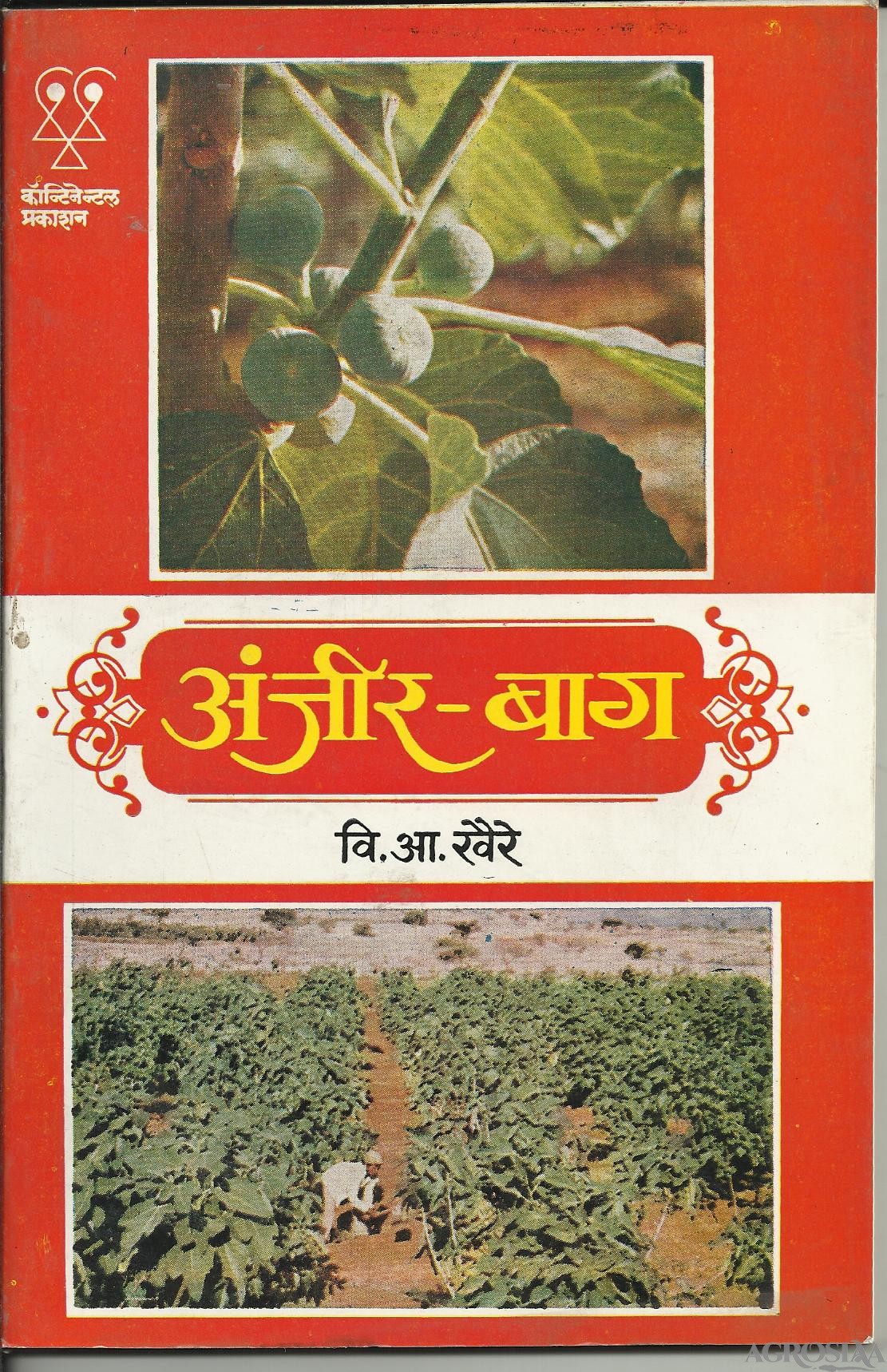 anjeer bagh