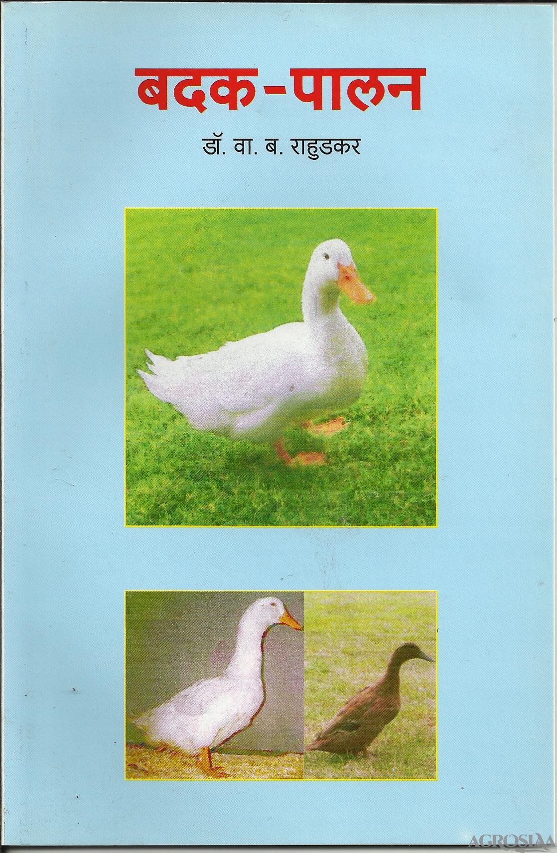 badak-palan