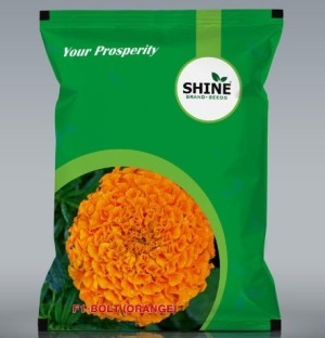 shine f1 bolt orange marigold seeds - 100 nos
