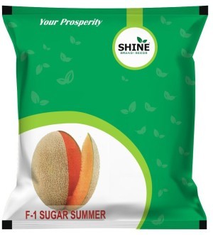 shine muskmelon f1 sugar summer - 10 gm
