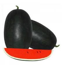 shine f1-creta ice box watermelon seeds - 10 gm