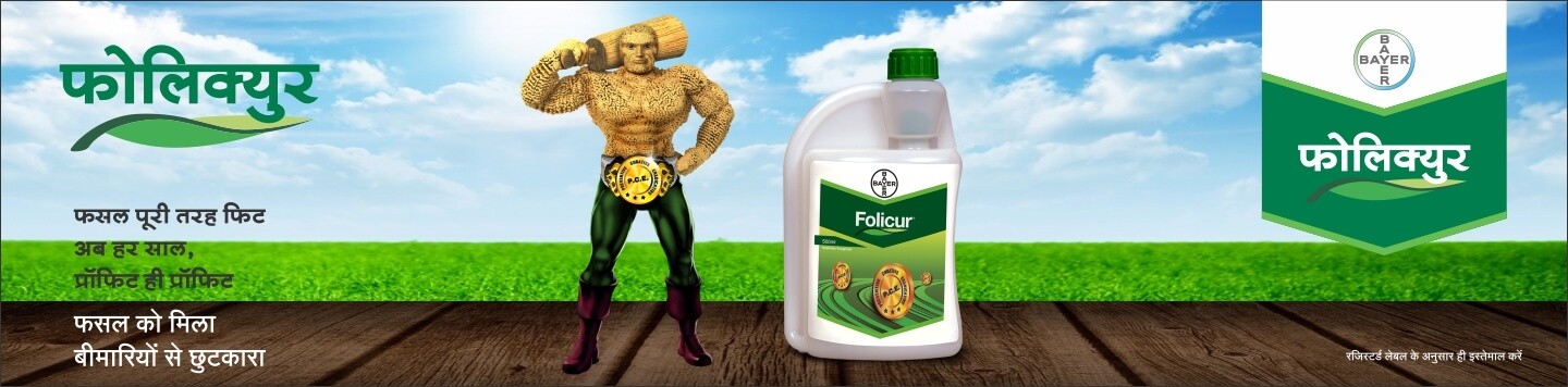 bayer folicure systemic fungicide - 100 ml | tebuconazole 250 ec