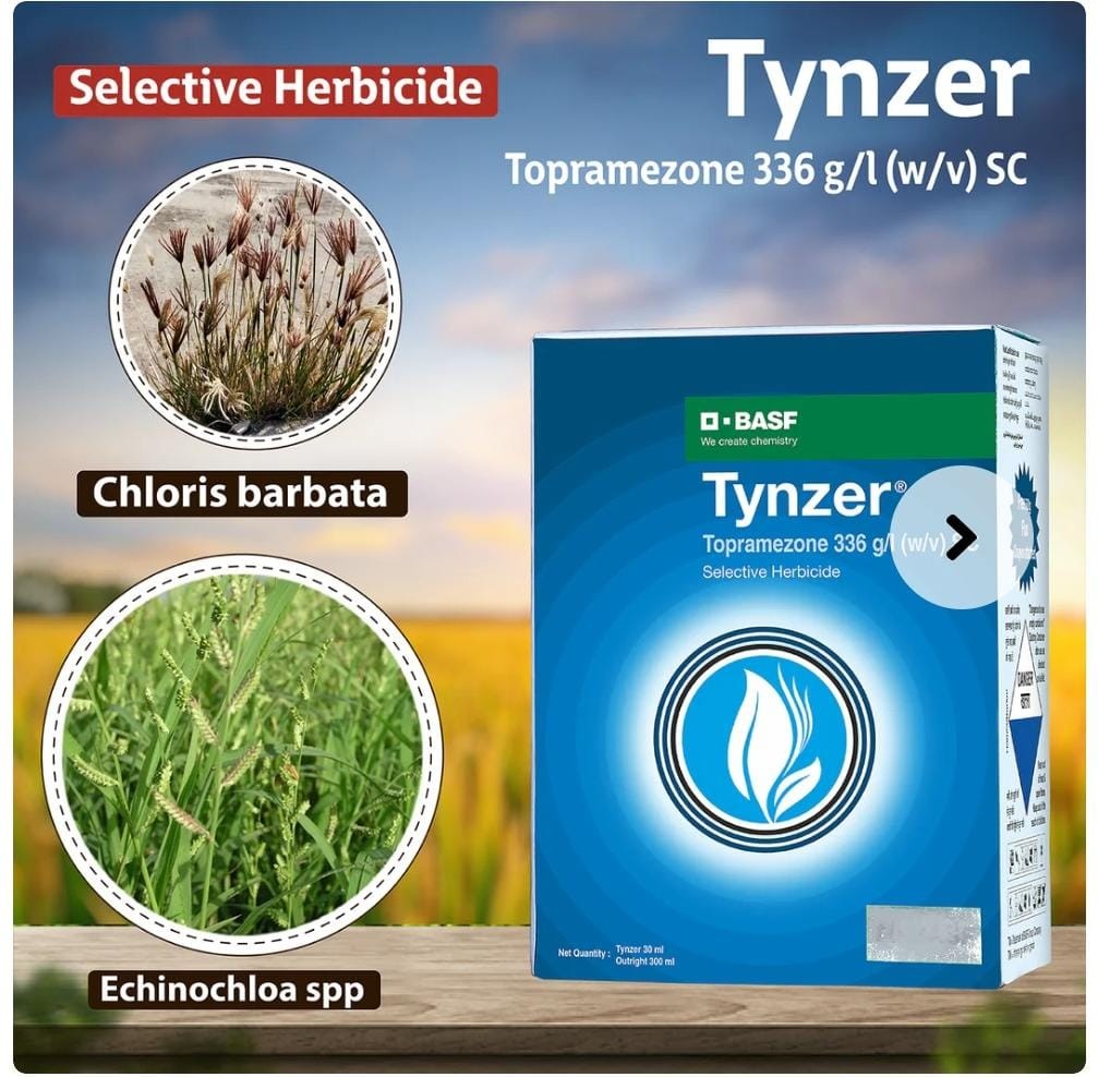 basf tynzer selective herbicide - 15 ml | topramezone 336 g/l (w/w) sc