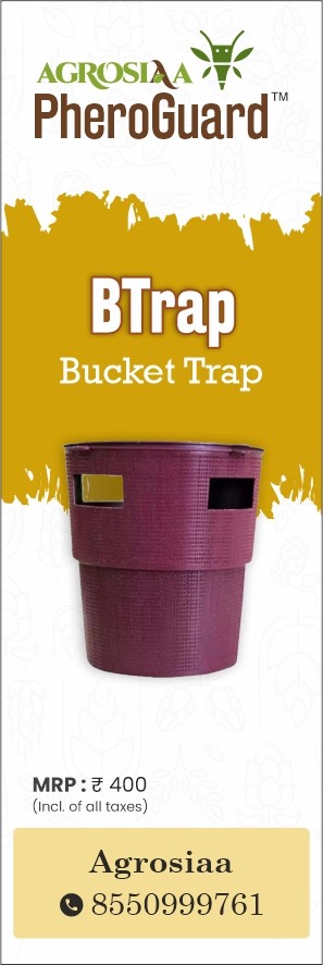 agrosiaa pheroguard b trap - 1 pc | bucket trap | red palm weevils and rhinoceros beetles