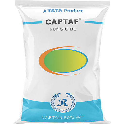 rallis captaf contact fungicide - 500 gm | captan 50%wp-1737362841