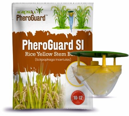 agrosiaa pheroguard si combo pack - advanced pheromone lure & funnel trap solution for rice yellow stem borer (scirpophaga incertulas)