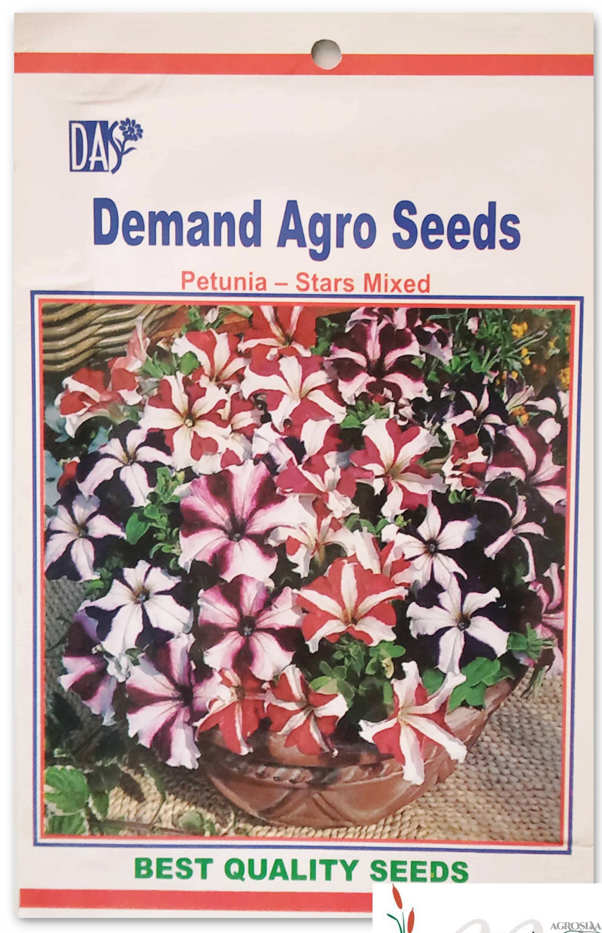 stars mixed petunia seed - 10 gm