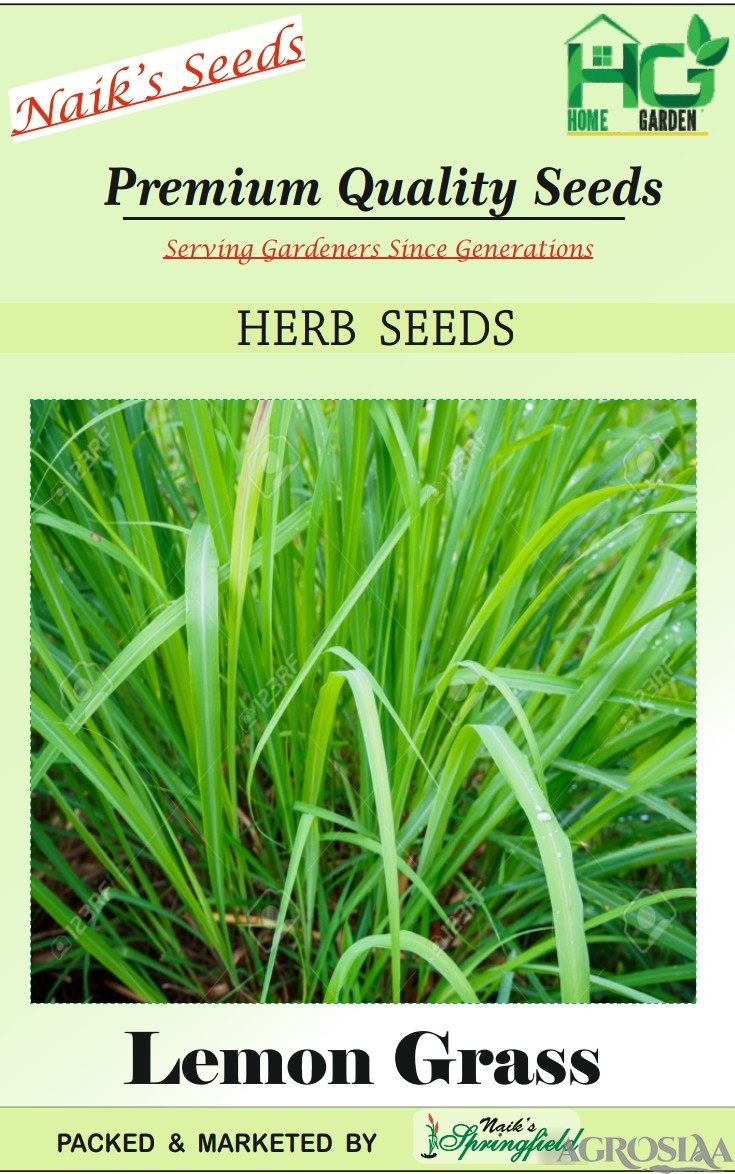 Naiks Lemon Grass Seeds 10 Gm