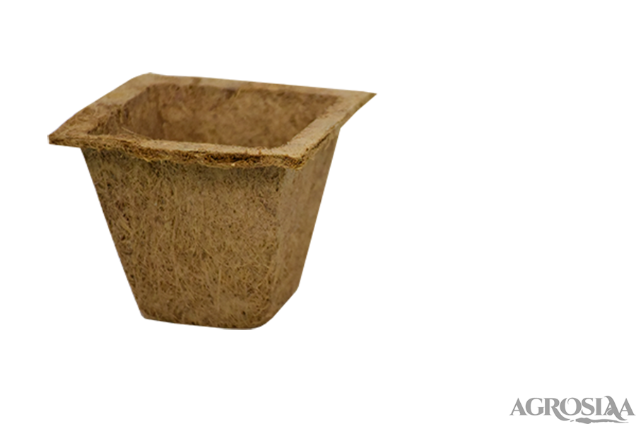 coir spanish cup