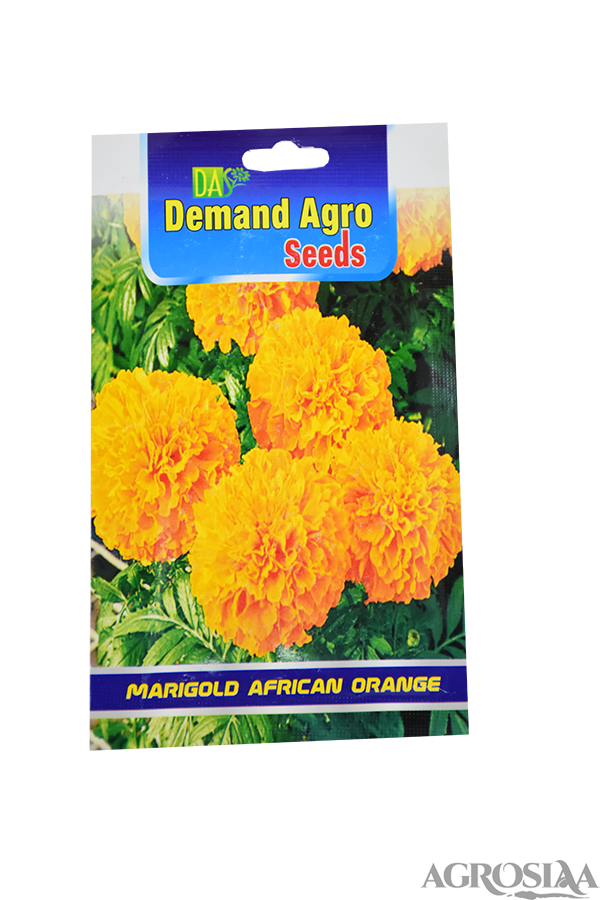 Demand African Double Orange Seed 5 Gm