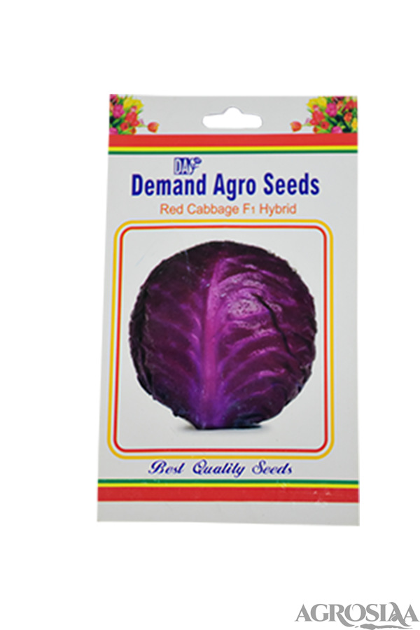 Demand Red F1 Hybrid Cabbage Seed 10 Gm