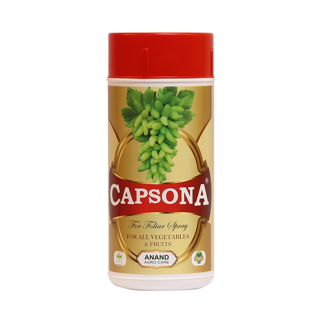 /uploads/userdata/seller/9fefa01edf327f0f3ba385039cb6c7f9281738ef/product_images/59187149915952803d5cdedd1a90b161d95e845b3211472896.png